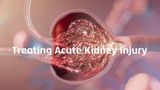 How Can We Treat Acute Kidney Injury?