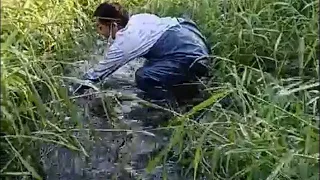 FISH NETS IN THE RIVER, A BIG FISH Catching .!!! amazing fishing nets || Amazing cast Netting