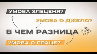 В чем разница договор о трудоустройстве в Польше? Умова о праце. Умова злеценя. Умова о джело.