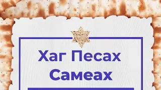 #Песах 2024/5784 ✡ С Праздником #Пасха, друзья! #ХагПесахСамеах, хаверим! #АрхиепископСергейЖуравлев