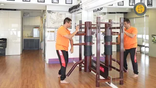 The different Weng Chun/ Wing Chun Wooden Dummy Forms