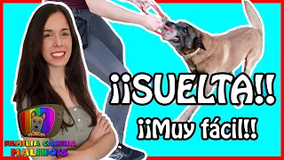 ENSEÑAR a un PERRO a SOLTAR a la orden (DOS MODOS - MUY FÁCIL) | Adiestramiento Canino