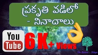 Slogans- Save Nature ప్రకృతి వడిలో - నినాదాలు