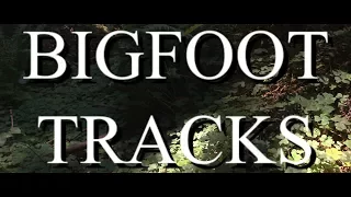 BIGFOOT TRACKS - Mountain Beast Mysteries Episode 21.