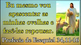 PROFECIA DE EZEQUIEL 34,11-16 (COM REFLEXÃO)