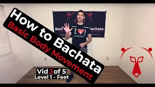 How to Dance Bachata - Level 1 - Bachata Tutorials by Red Bear Dance - Basic Body Movement