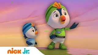 ОТВАЖНЫЕ ПТЕНЦЫ | Броуди едет домой | Nick Jr. Россия