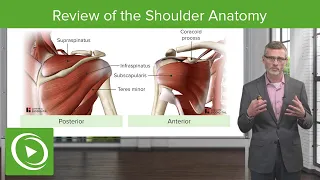 Patient Intro and Review of the Shoulder Anatomy | Physical Examination