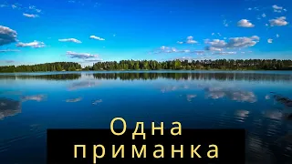 Мормышинг. Окунь клюёт на одну приманку, только закидывай.