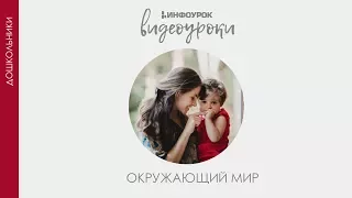 Школа | Дошкольники | Окружающий мир #31 | Инфоурок