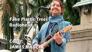 Fake Plastic Trees (Radiohead) Cover by James Marçal