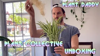 Plant Collective unboxing