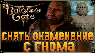 а что ЕСЛИ СНЯТЬ ОКАМЕНЕНИЕ с гнома в ЛОГОВЕ ЭТЕЛЬ - Baldur`s gate 3