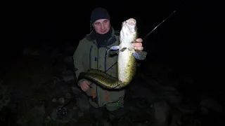 ОСЕННЯЯ НОЧНАЯ ЛОВЛЯ НАЛИМА С БЕРЕГА В НОВОМ МЕСТЕ / AUTUMN NIGHT BURBOT FISHING FROM THE SHORE