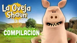 Compilación Temporada 3 (episodios 11-15) - La Oveja Shaun