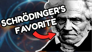 Why Quantum Physicists Love Schopenhauer