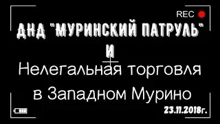 ДНД "Муринский патруль" и нелегальная торговля в Западном Мурино.