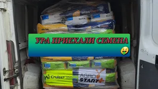 Ура семена Подсолнечника приехали 🤪много и  разного ..