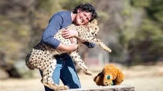 My Pet Cheetah Helped Me Through Cancer