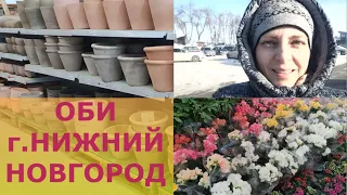 ГДЕ КУПИТЬ ПРОФСЕМЕНА ПЕТУНИИ? ПРИСМОТРЕЛА КЕРАМИЧЕСКИЕ ГОРШКИ ДЛЯ САДА.