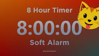 8 Hour Timer 🔴 (with Soft Alarm Sound) for Sleep and Relaxation