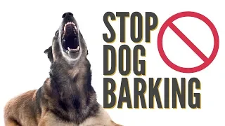 How To Quickly Stop Dog Barking