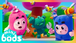 Teddy Bear Panic! 🌱 | Minibods | Preschool Cartoons for Toddlers