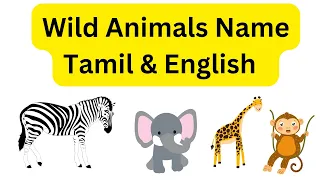Wild Animals Name Tamil & English || Learn Wild Animals Name || Animals Names ||Kids Learning Video
