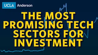 The Most Promising Tech Sectors for Investment