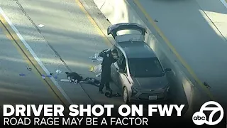 Driver shot on 405 Freeway in Sherman Oaks, Los Angeles
