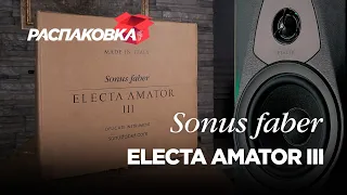 Распаковка колонок Sonus faber Electa Amator III