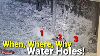 Whitetail Water Holes