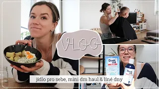 VLOG | jídlo pro sebe, mini dm haul & líné dny | kamčalinda