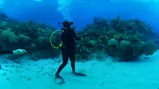 Scuba Diving 1a