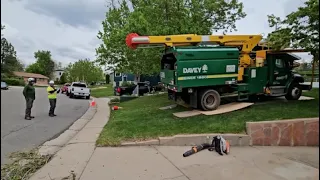 A Tricky Tree Removal by Davey Tree Experts