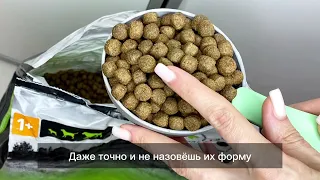 Почему вашей собаке нужен корм Probalance Delicate Digestion