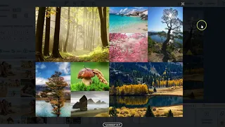 Finebook - Как создать коллаж из фото в удобном онлайн-конструкторе фотокниг Finebook
