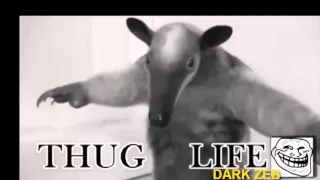 Thug Life Compilation Animal Part 2