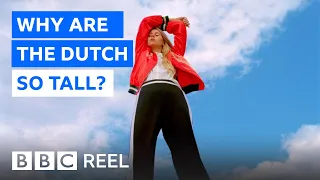 Why the Dutch are the tallest people in the world - BBC REEL