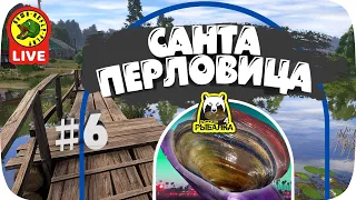 Санта Перловица - на р. Вьюнок! #6 (Стрим - Русская рыбалка 4)