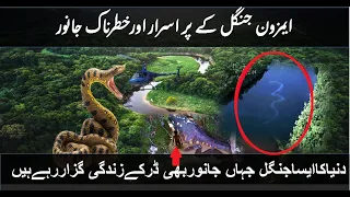 Animals of Amazon Jungle| Amazon Rainforest Documentary in Urdu/ Hindi | Lungs Of Earth