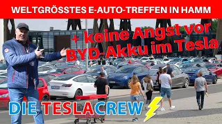 ⚡️ Infos weltgrößtes E-Auto-Treffen + KEINE ANGST vor dem BYD-Akku im neuen Model Y RWD!