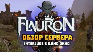 Обзор сервера Flauron Interlude x1 в одно окно