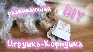 ☀️ DIY развивающая игрушка для собаки ☀️ | своими руками 👋🏻