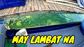 EP31 P26 May lambat na ang gilid para hindi mahulog ang tuna