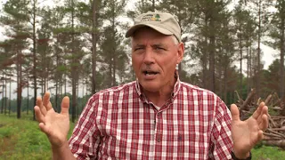 Southeast Pine Savanna Restoration and Management for Northern Bobwhites