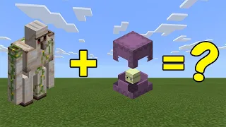 I Combined an Iron Golem and a Shulker in Minecraft - Here's WHAT Happened...