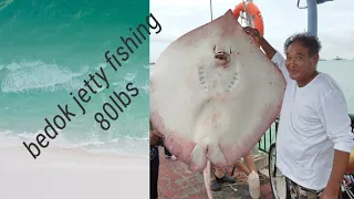 v#24-  anglers caught huge sting ray @ bedok jetty,fought untill shoreline