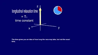 Longitudinal Relaxation | T1 Curve