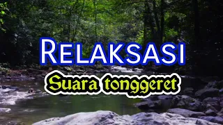 Suara tonggeret/Cicadas,jangkrik,walang kecek untuk terapi dan relaksasi tidur